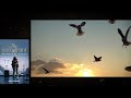 Book Trailer 'The Immigrant Veronicas Story'