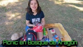 Picnic en Bosque de Aragón