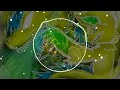 Big Data Dangerous Oliver Remix Danger Meme Song Big Data Dangerous Oliver Remix Danger Meme Song