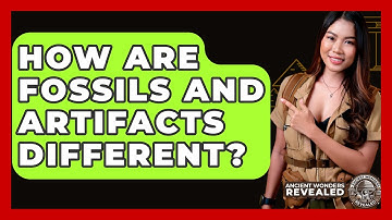 How Are Fossils And Artifacts Different? - Ancient Wonders Revealed