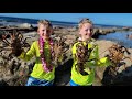 9 days fishing  foraging in hawaii  lobster diving  spearfishing catch  cook