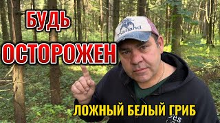 видео: Ложный белый гриб картинка: Ложный белый гриб