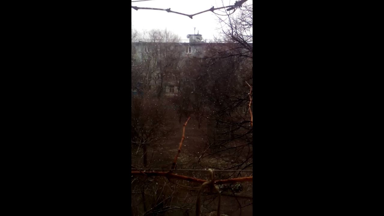 Снег в марте 2016!Привет саночки