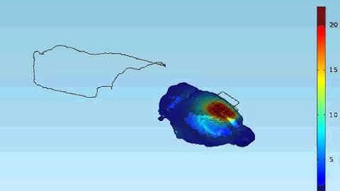 Transcranial Electrical Stimulation in rodent