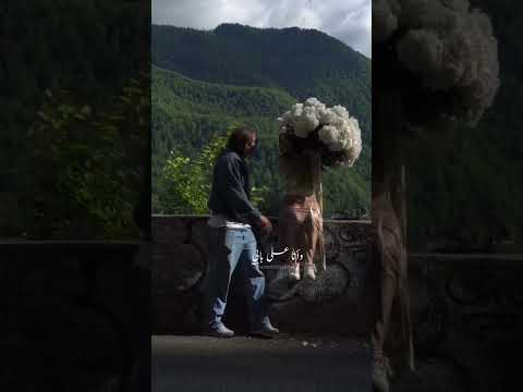 بعيونك ربيعي نور وحلي حبيبي ندهلي قلي الشتي راح رجعت اليمامي زهر التفاح انا لحبيبي وحبيبي الي