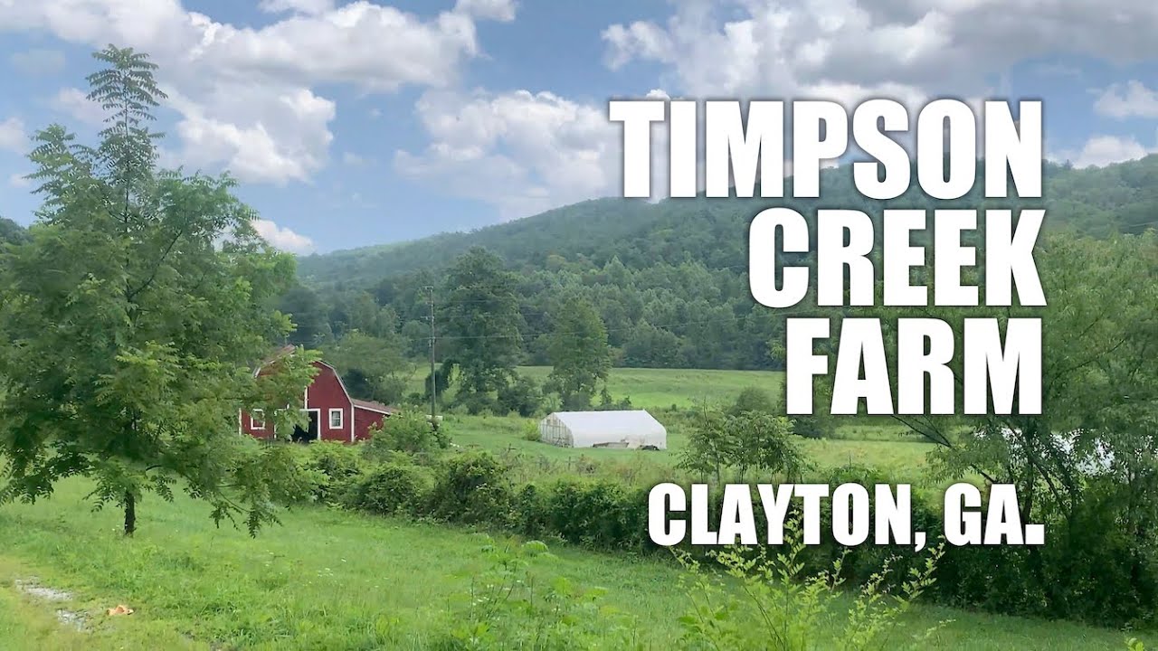 TIMPSON CREEK FARM Longtime produce stand with historic home and barn