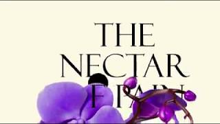 Najwa Zebian - The Nectar of Pain 🌹