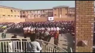 tsamisa mmoloki demo