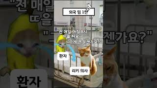 웃긴 외국 밈 1탄🤣 #고양이밈 #고양이 #각종유머 #웃긴영상 #cat #유머 #웃긴짤 #funny #웃긴동영상