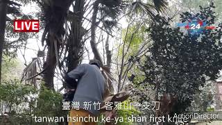 預約全年度暨清明節掃墓服務048庚子