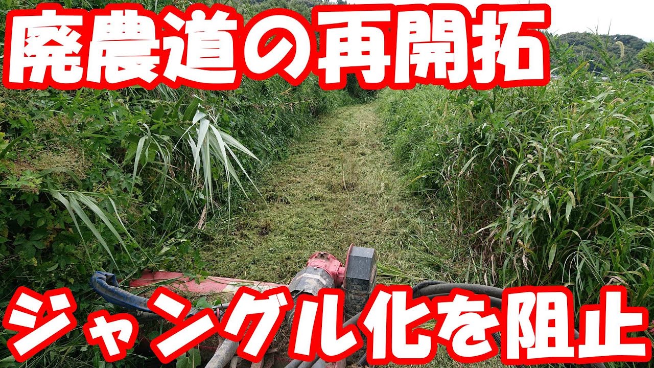 開拓した廃農道の維持管理～悪夢のジャングル化だけはさせない。スライドモア 後方撮影