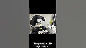 Demo - ZEISS LSM 910 with Lightfield 4D #zeiss #lightfield4d #lsm910