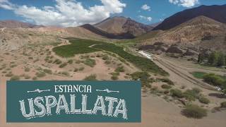 Estancia Uspallata, Mendoza, Argentina. VINEYARDS AND DRONE