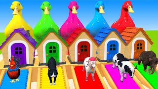Long Slide Game With Cow Elephant Gorilla Hippopotamus Tiger 3d Animal Game Funny 3d Animals