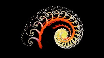 My favorite fractals I