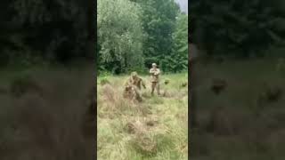 М - Маскировка