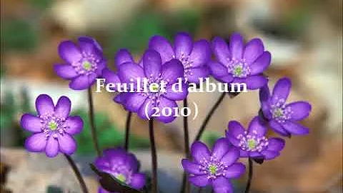 Denis Bédard — Feuillet d’album (2010) for organ