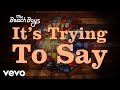 The Beach Boys - It's Trying To Say (Visualizer)