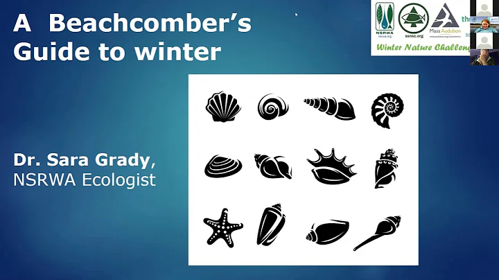 Winter Nature Challenge Week 3: A Beachcombers Gui...