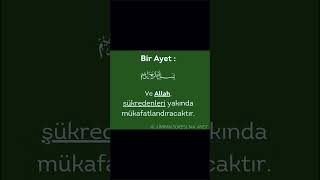 Al-I İmran Suresi 144Ayet