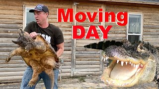 Moving All My Animals Into The Alligator House!!!