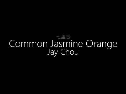 Jay Chou || 七里香 (Common Jasmine Orange) (English/Hanzi Lyrics)