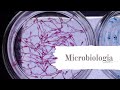 Microbiologia: Conceitos básicos