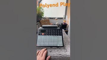 Polyend Play outdoor session with powerbank. Hard to see steps in daylight. #shorts #polyendplay