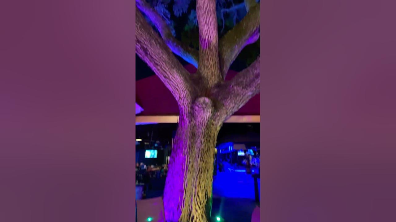 Crown and bull restaurant dunedin florida nightlife restaurant