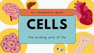 Journey Inside A Cell Science Made Simple