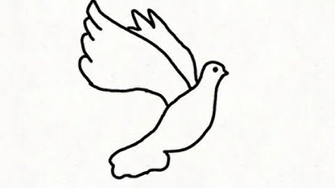 Bird Animation Test [Flipaclip]