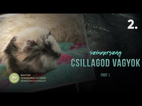 Szénaország - Csillagod vagyok (1. rész)