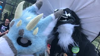 I WAS IN A FURRY FIGHT!! (REAL FOOTAGE ‼️ NOT CLICK BAIT)