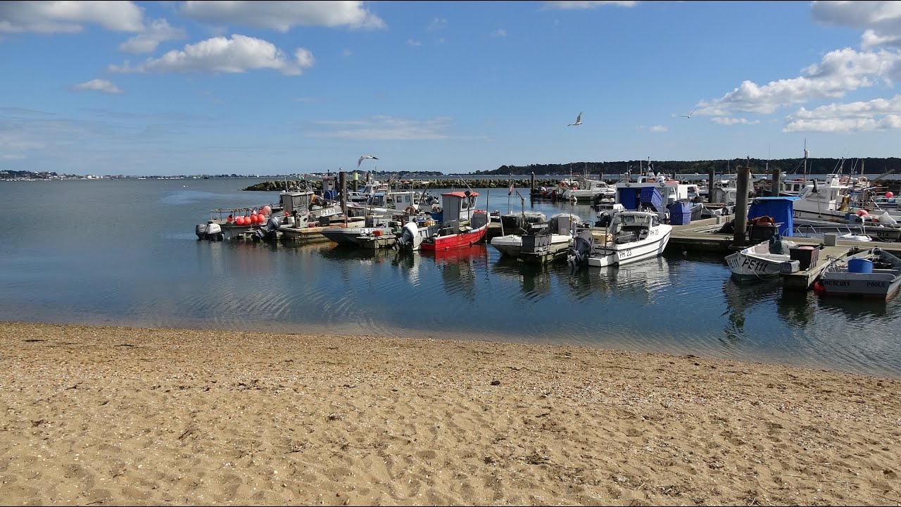 Walk around Baiter Park and Poole Quay YouTube