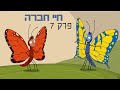 ניר וגלי חיי חברה - דדליין