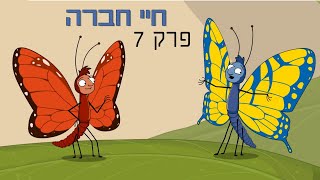 ניר וגלי חיי חברה - דדליין