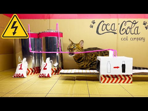 Видео: Лучшая работа для Кошки. Процесс производства газировки Coca Cola