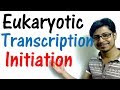 Transcription initiation in eukaryotes