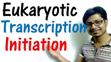 Transcription initiation in eukaryotes