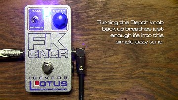 Lotus Pedal Designs FK CNCR Iceverb Demo - Mason Stoops