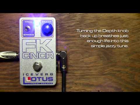 Lotus Pedal Designs