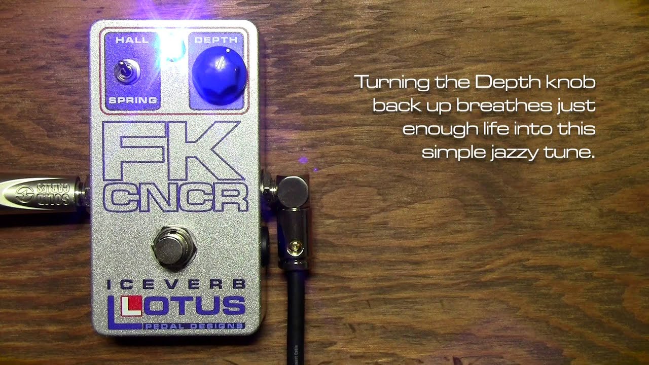 Lotus Pedal Designs Limited Edition FK CNCR Iceverb | Reverb