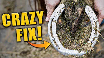 From wrecked to "PERFECT" in minutes!