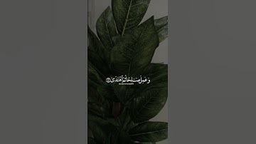 اجر لي ولكم 💞🤏🏻 الفيديو حلالكم🌟 القارئ=شريف مصطفى🎀
