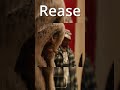 [FREE] Future Mixtape Pluto Type Beat "Rease" (prod. by Trewz)