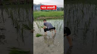 Chinese Bhat Lavni | Viralshorts shortsvideo shortsfeed chinese comedyshorts