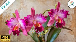 Vintage Brazil Flowers Art for Your TV | Still Life Floral TV Art Screensaver | FrameTV 4K HD 2.0