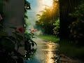 #music #nature #naturelovers #rainsounds