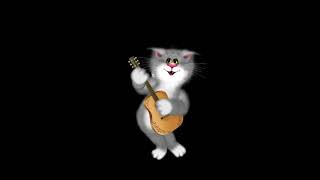Футаж. Кошки. Кот играет на гитаре