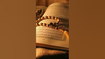 #ياسر_الدوسري #سورة_المؤمنون #اكسبلور #quran #trustonallah #قرآن #المصحف